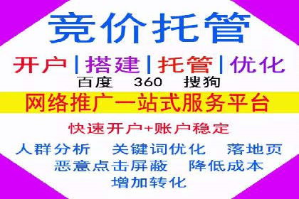 SEM推广公司成功案例：助力企业实现品牌多元化发展